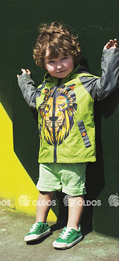 Куртка демисезонная "Лев" на мальчика